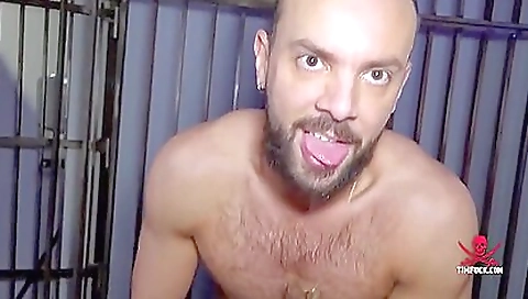 Sa persuadrilon and ready for a little pussy